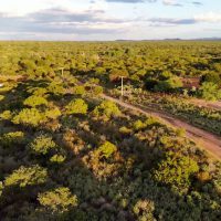 dia-nacional-da-caatinga-28-04-2023