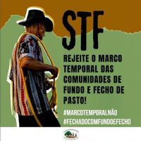 stf